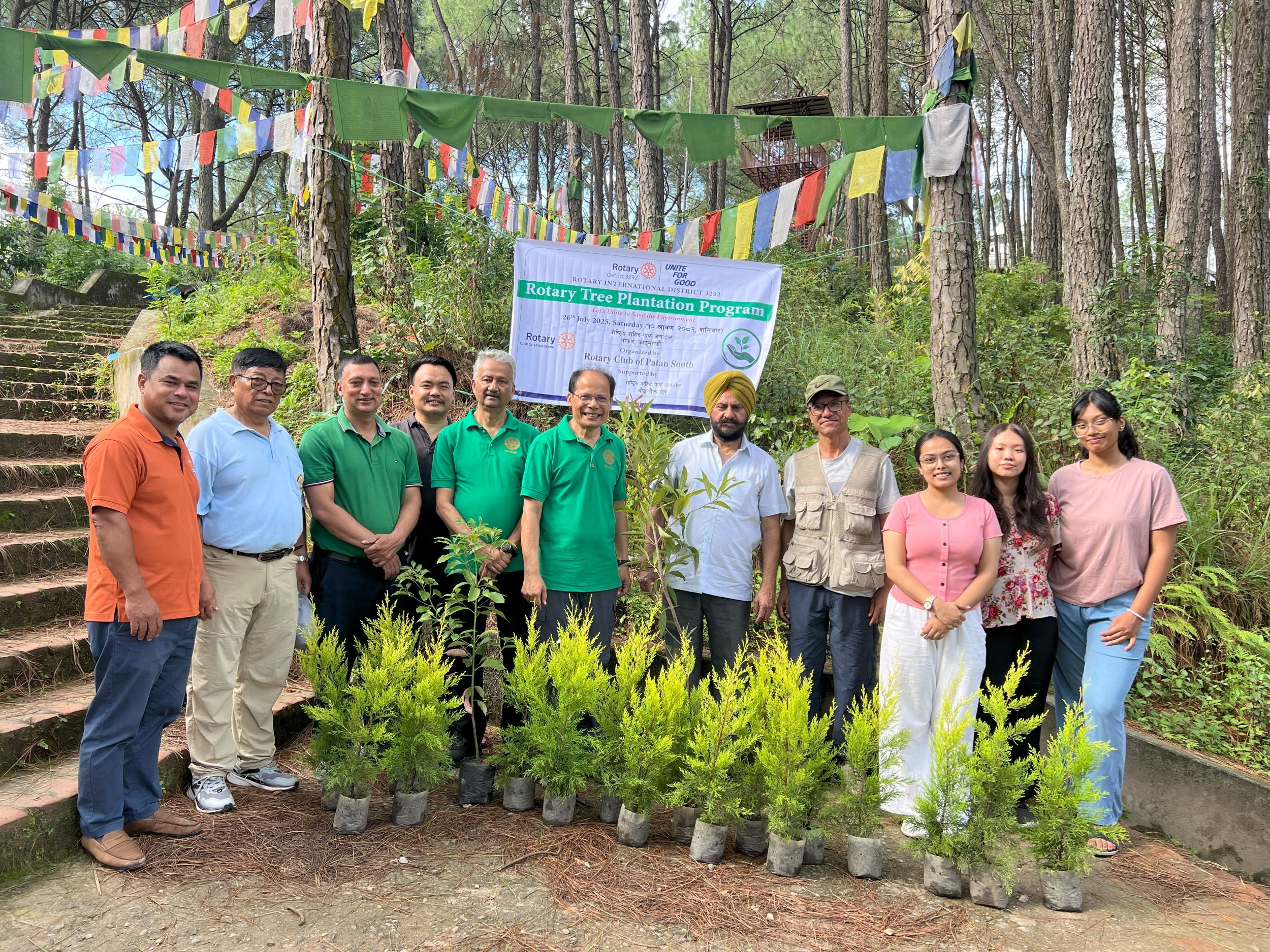 Tree Plantation