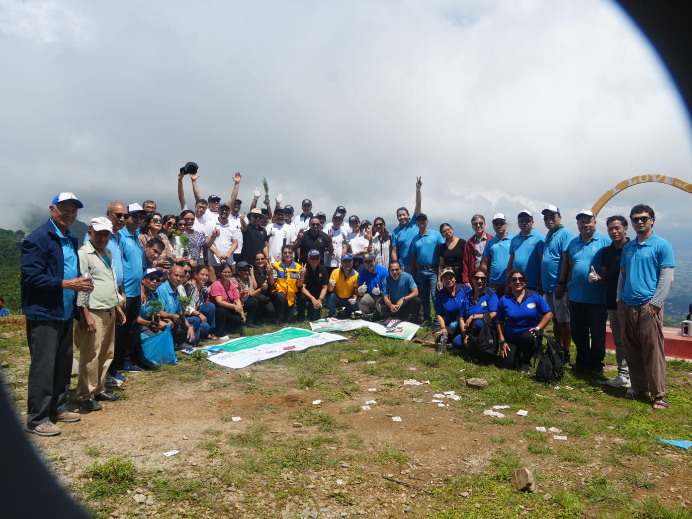 tree plantation project