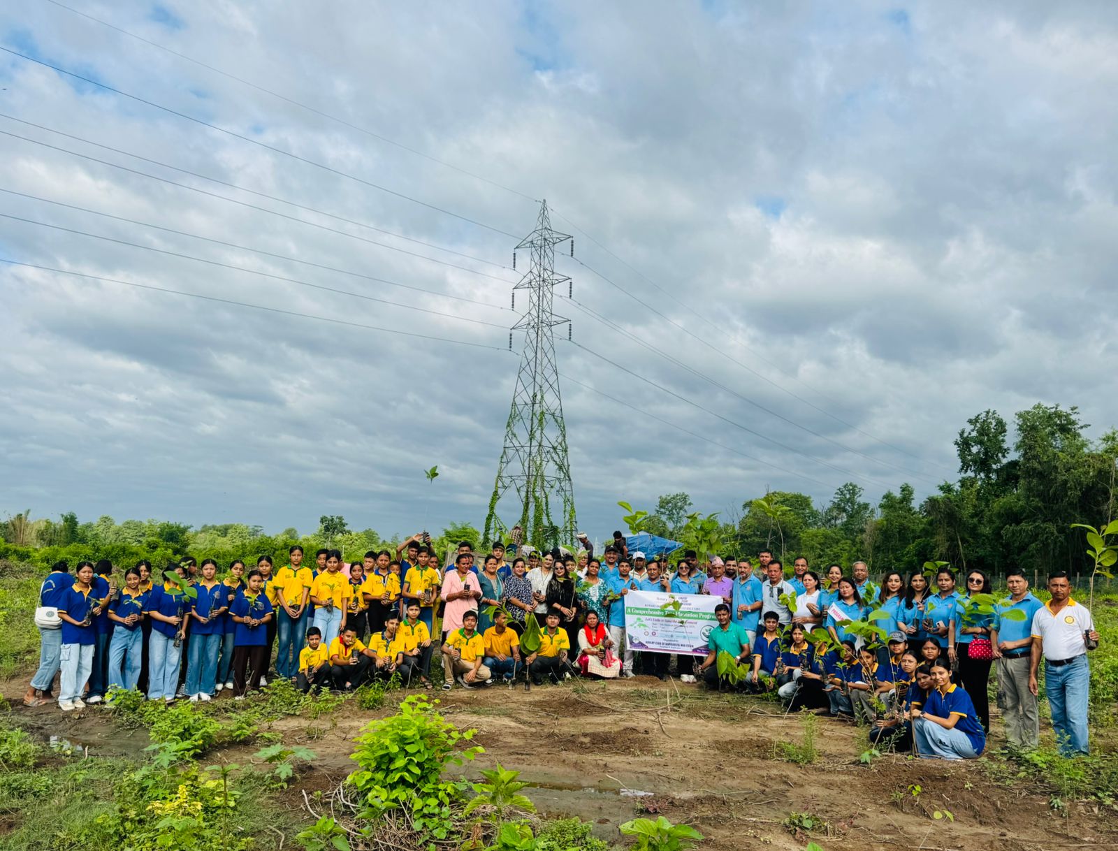 Tree Plantation Program