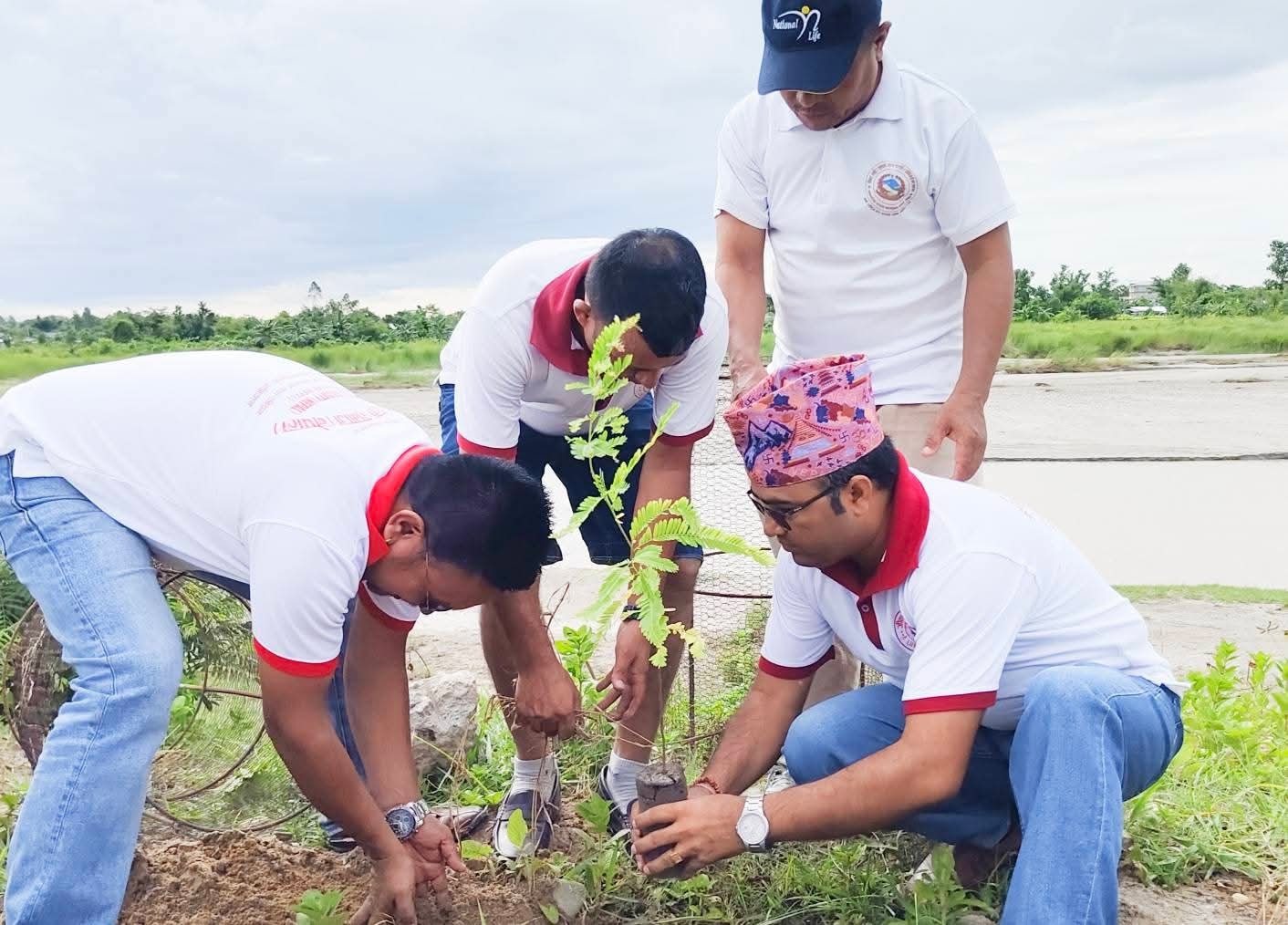 Rotary Tree Plantation